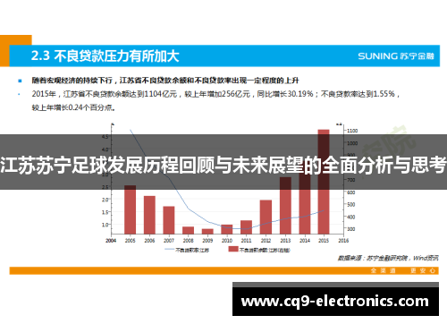 江苏苏宁足球发展历程回顾与未来展望的全面分析与思考